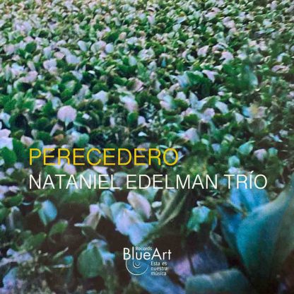 Perecedero (Nataniel Edelman Trío)